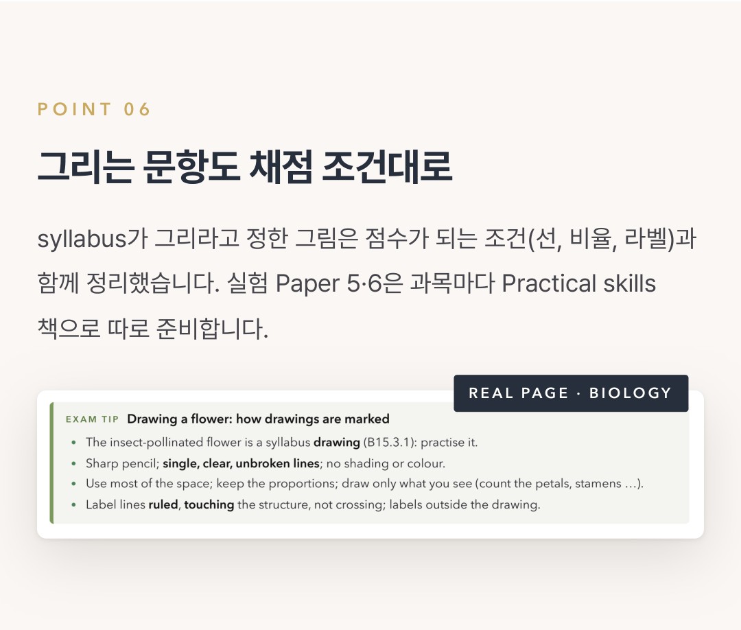 Cambridge IGCSE Co-ordinated Sciences 0654 학습 노트 상세 7