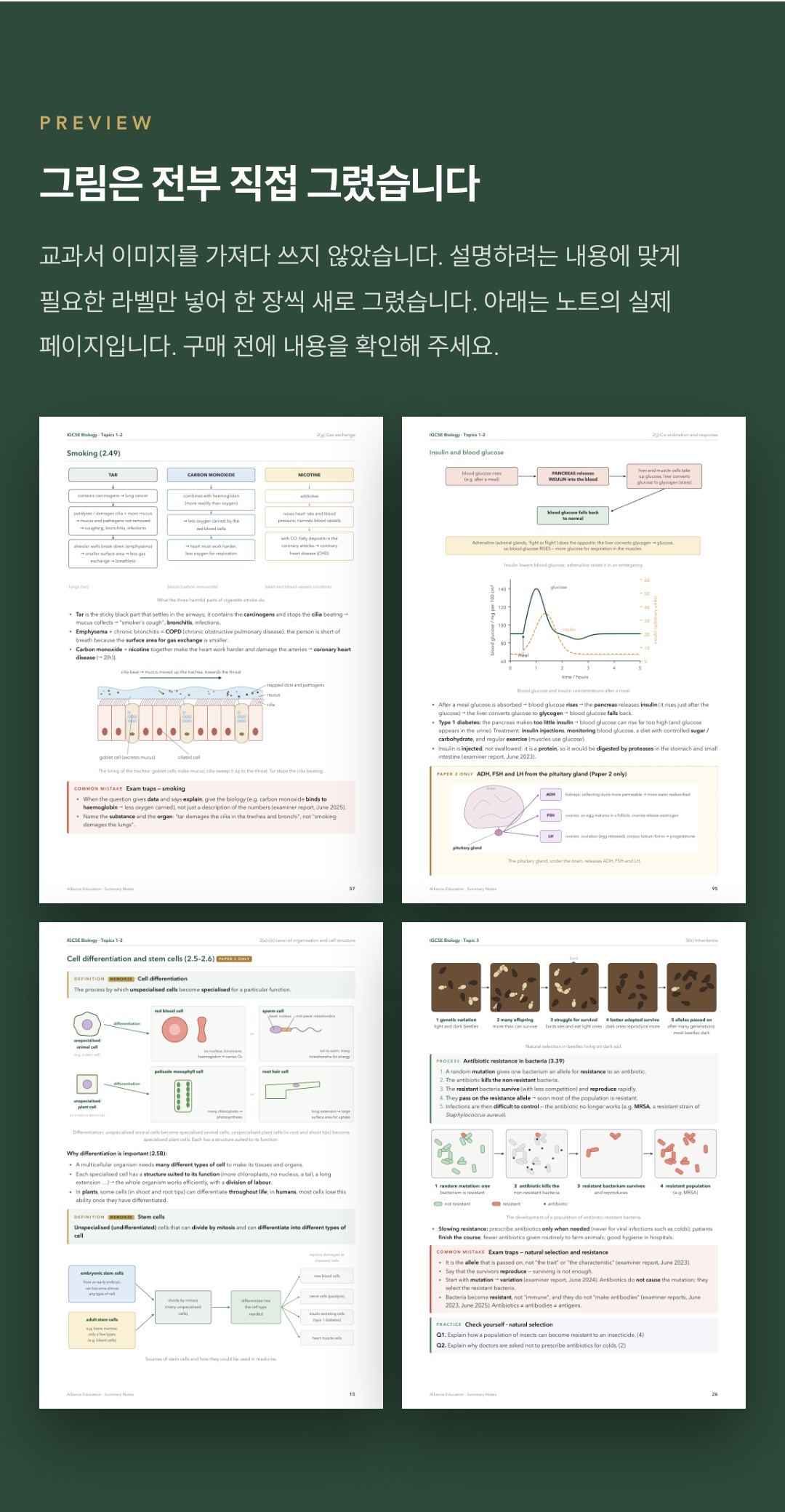 Pearson Edexcel IGCSE Biology 4BI1 학습 노트 상세 7