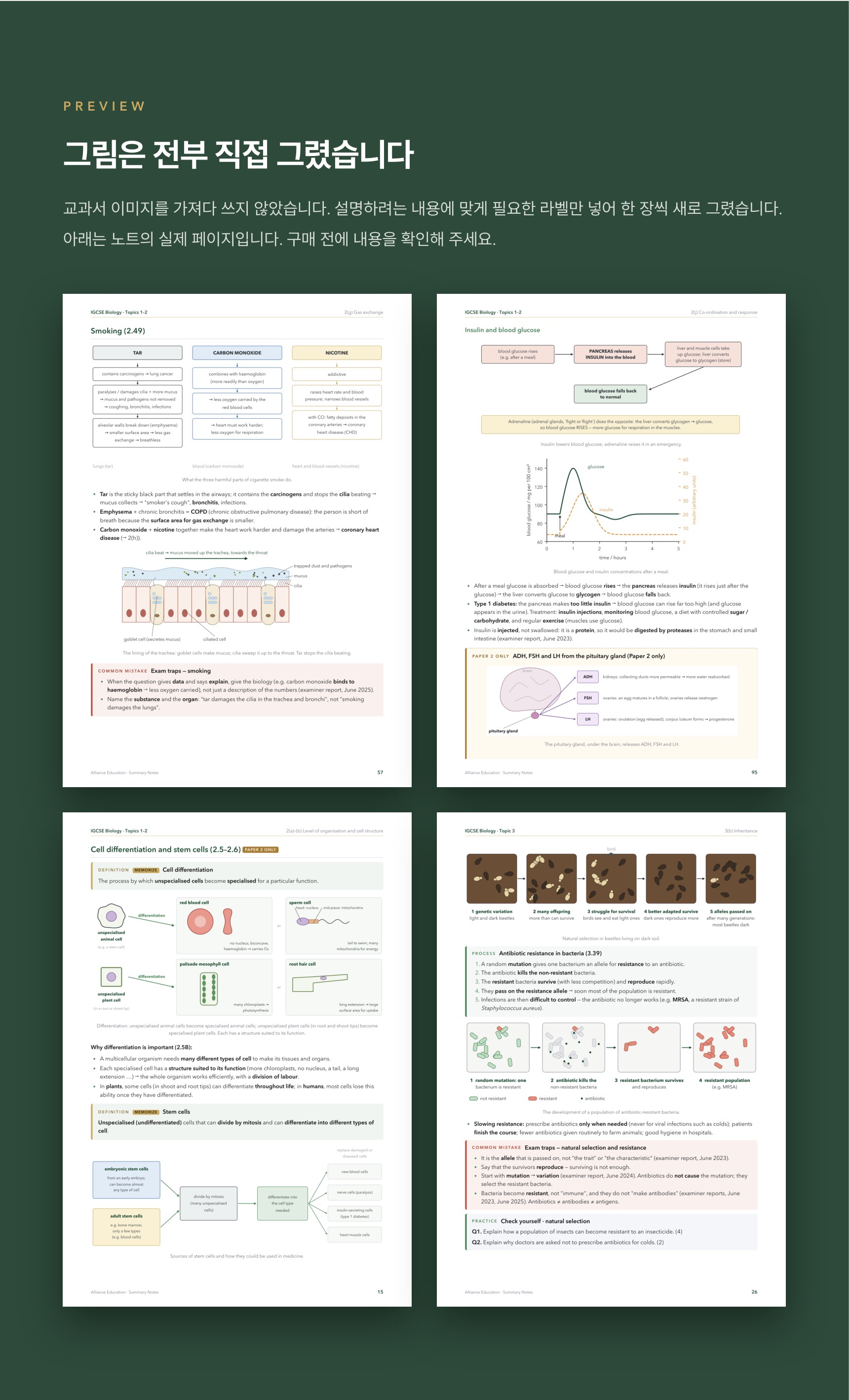 Pearson Edexcel IGCSE Biology 4BI1 학습 노트 상세 6